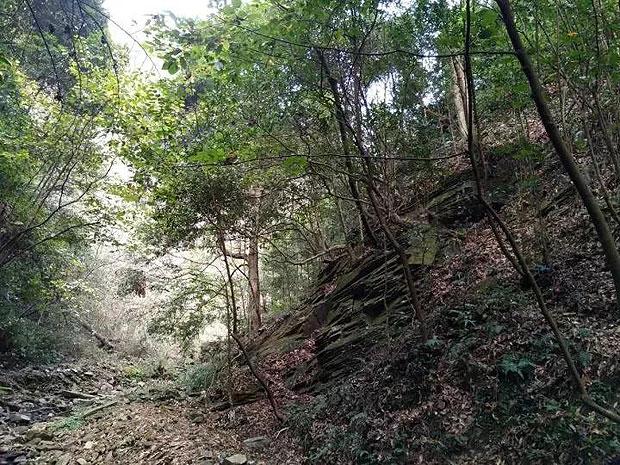 BLG横扫AL，解锁LPL赛区300胜场成就！这才是S+战队的样子