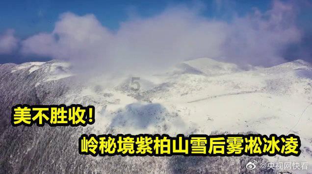 青神:建好多方利益链 奏响富民强村曲